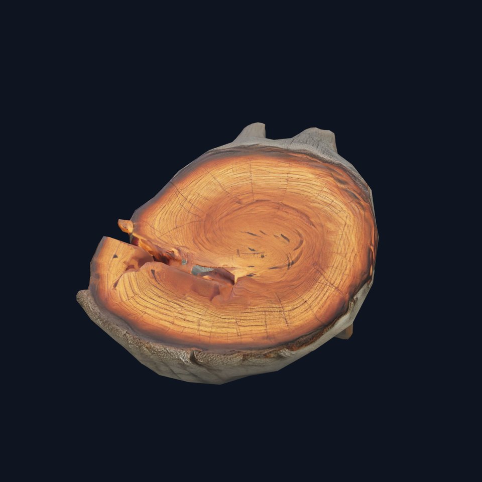 Textured Wooden Log model pack